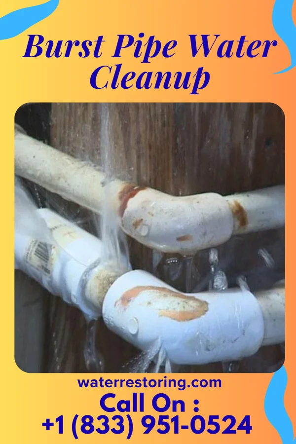 Burst Pipe Water Cleanup in Spring Lake, NC